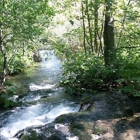 Guesthouse Marton Єзерце Екстер'єр фото